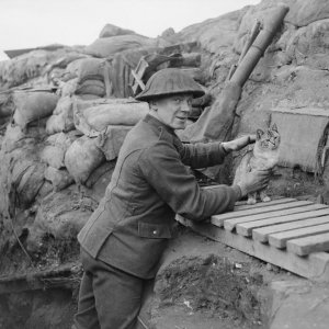Animali nella Grande Guerra: soldato con un gatto in un'immagine del documentario