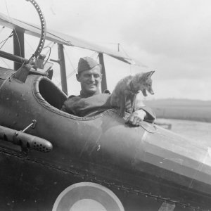 Animali nella Grande Guerra: aviatore con una volpe in una scena del documentario di Folco Quilici