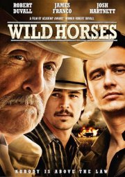 Locandina di Wild Horses
