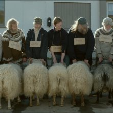 Rams - Storia di due fratelli e otto pecore: una sequenza del film di Grímur Hákonarson