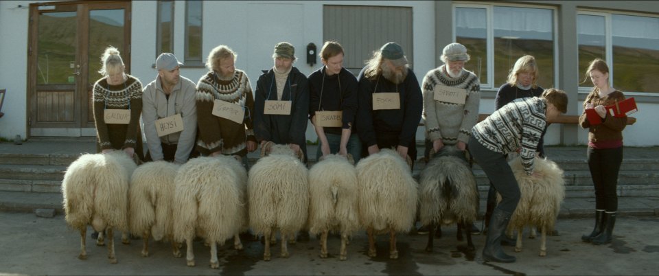Rams - Storia di due fratelli e otto pecore: una sequenza del film di Grímur Hákonarson