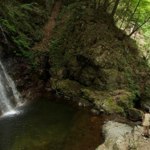 Journey To The Shore: una suggestiva immagine del film di Kiyoshi Kurosawa
