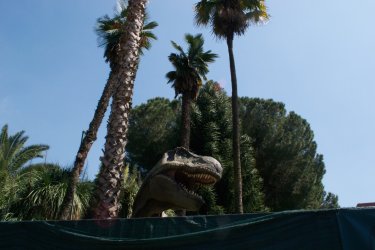 Dinosauri in carne e ossa: la testa del T-Rex svetta oltre la recinzione del Giardino sperimentale