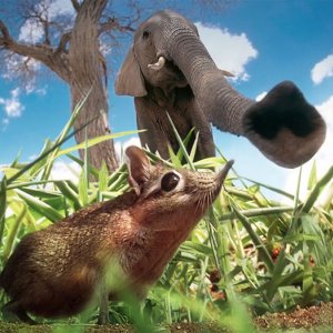 Una scena di Hidden Kingdoms - Micromondi