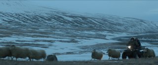 Rams - Storia di due fratelli e otto pecore: una suggestiva immagine del film di Grímur Hákonarson