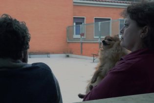 Perché non parli?