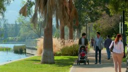 Trailer - Grandfathered