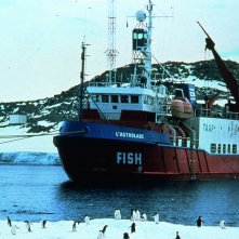 Ice and the Sky: un'0immagine del documentario di Luc Jacquet sull'Antartide
