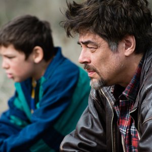 A Perfect Day: Benicio Del Toro in un'immagine del film