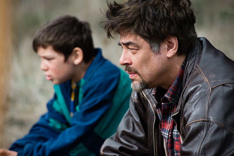 A Perfect Day: Benicio Del Toro in un'immagine del film