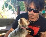  Johnny Depp, nei guai: i suoi cani rischiano di essere uccisi