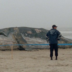 Arabian Nights - Volume 1: una sequenza del film di Miguel Gomes