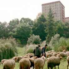 Arabian Nights - Volume 2: una sequenza del film di Miguel Gomes