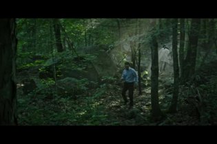 Clip - The Sea of Trees