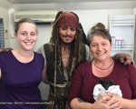 Johnny Depp, il pirata dei Caraibi adotta un pipistrello