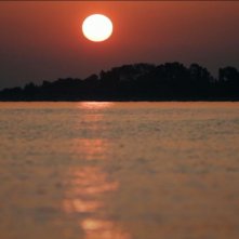 Il colore verde della vita: un'immagine del film