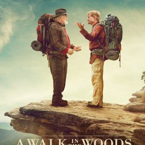 A Walk in the Woods: il poster del film
