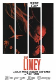 Locandina di L'inglese