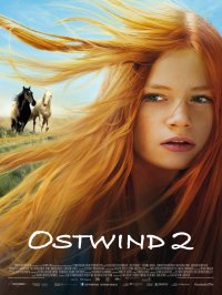 Locandina di Windstorm 2 - Contro ogni regola