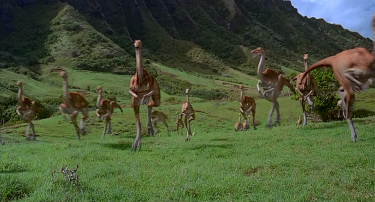 Jurassic Park: Gallimimus al galoppo