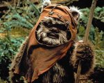 Star Wars VII vedrà il ritorno degli Ewoks?