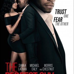 Locandina di The Perfect Guy