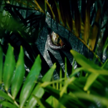 Jurassic World: L'Indominus Rex sbircia tra i cespugli