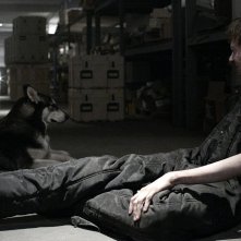 Z Nation: un'immagine dell'attore DJ Qualls in Fracking Zombies