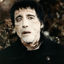  La maschera di Frankenstein: Christopher Lee