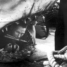 Lo Squalo - un esperto di esplosivi dentro la bestia