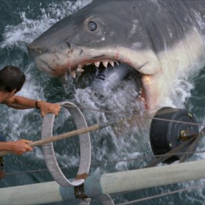 Lo Squalo, una delle scene clou del film