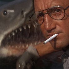 Roy Scheider in una scena de Lo Squalo