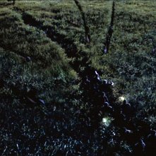 Il mondo perduto - Jurassic Park: i raptor attaccano nell'erba alta