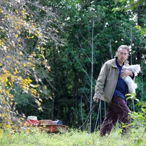 Manglehorn: Al Pacino col suo amico felino in una scena del film