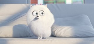 Pets - Vita da animali: una simpatica cagnolina in una scena del film