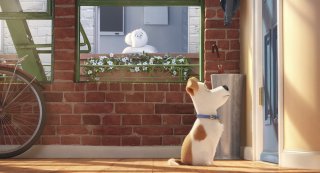 Pets - Vita da animali: una scena del film