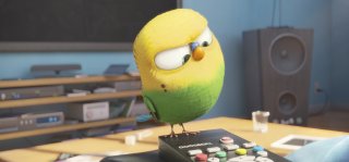 Pets - Vita da animali: un simpatico pennuto protagonista del film