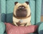 Pets - Vita da animali in vetta al box office italiano