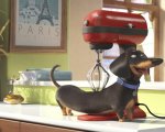 Pets: il divertente video realizzato per il Super Bowl