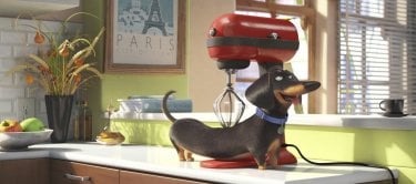 Pets - Vita da animali: un bassotto in una scena del film