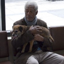 Ruth & Alex - L'amore cerca casa: Morgan Freeman in una buffa immagine tratta dalla commedia