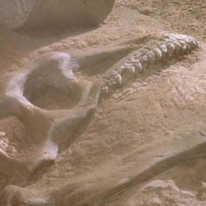 Jurassic Park: un'immagine dello scavo