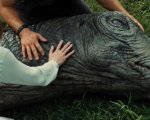 Jurassic World Alive: in arrivo il gioco in realtà aumentata!