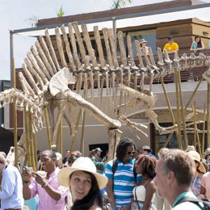 Jurassic World: lo scheletro di Spinosauro nel parco