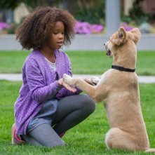 Annie - La felicità è contagiosa: Quvenzhané Wallis nei panni di Annie insieme al suo cagnolino in un momento del film