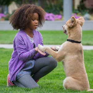 Annie - La felicità è contagiosa: Quvenzhané Wallis nei panni di Annie insieme al suo cagnolino in un momento del film