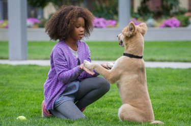 Annie - La felicità è contagiosa: Quvenzhané Wallis nei panni di Annie insieme al suo cagnolino in un momento del film