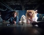 Midnight Factory: Koch Media propone la nuova etichetta del cinema horror