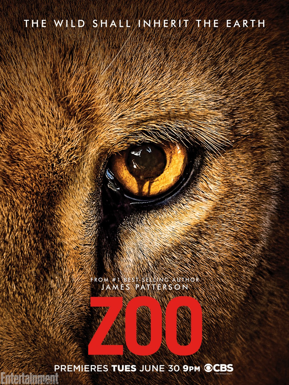 Zoo Tv Series Promo Poster