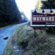 Tv, le serie della settimana: da Bob's Burger al finale di Waynard Pines